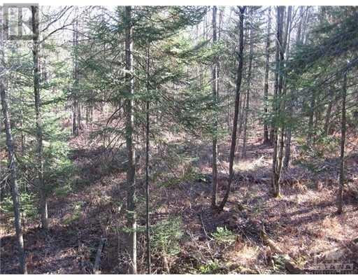 3110 Dunrobin Road, Ottawa, Ontario  K0A 1T0 - Photo 3 - X9521578