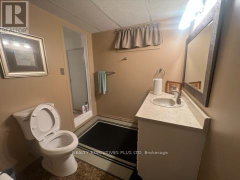 616 Bunting Road, St. Catharines, Ontario  L2M 2Z8 - Photo 15 - X9386464