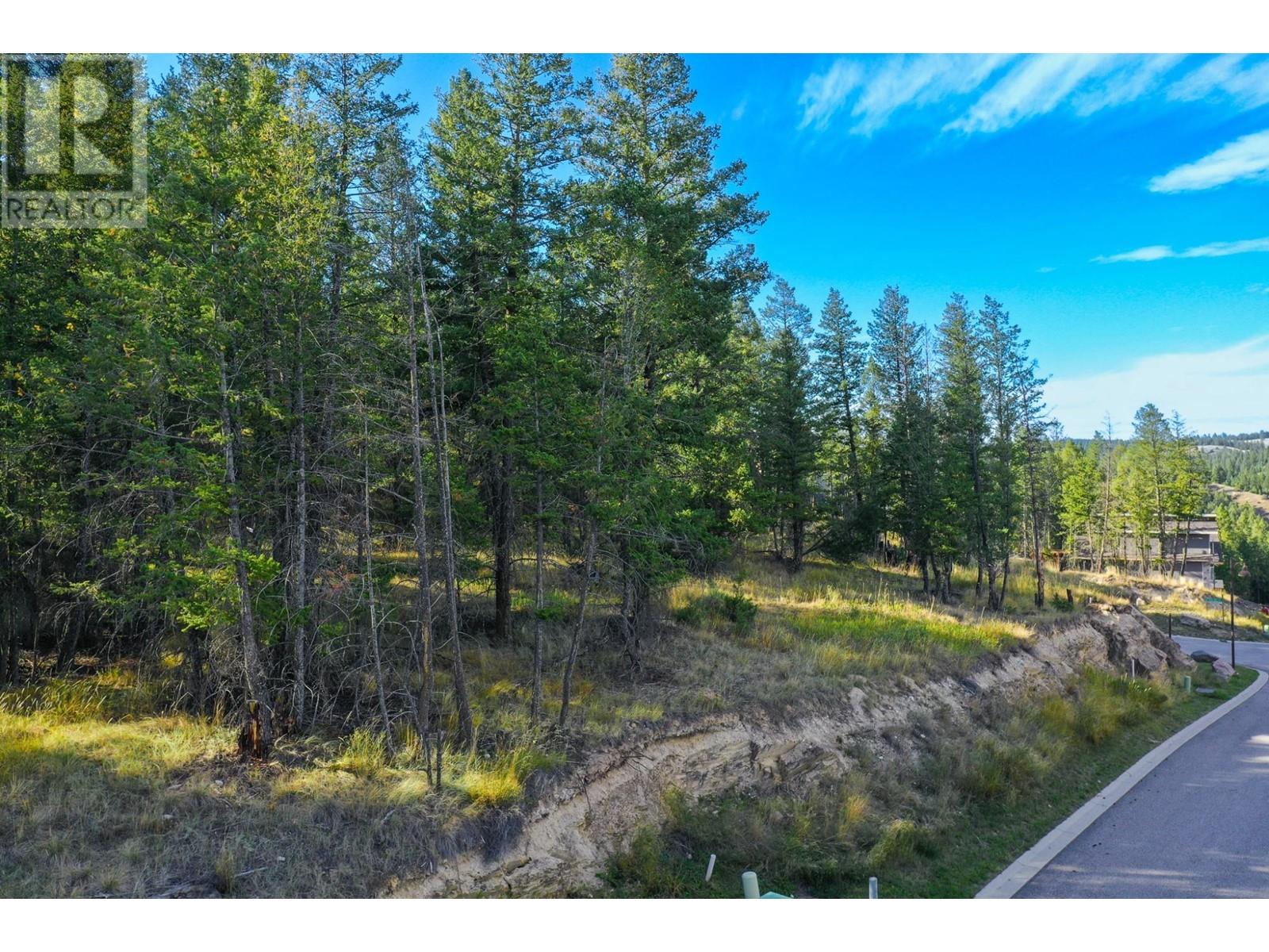 Lot 49 Pine Ridge Mountain  Place, Invermere, British Columbia  V0A 1K4 - Photo 10 - 2479952