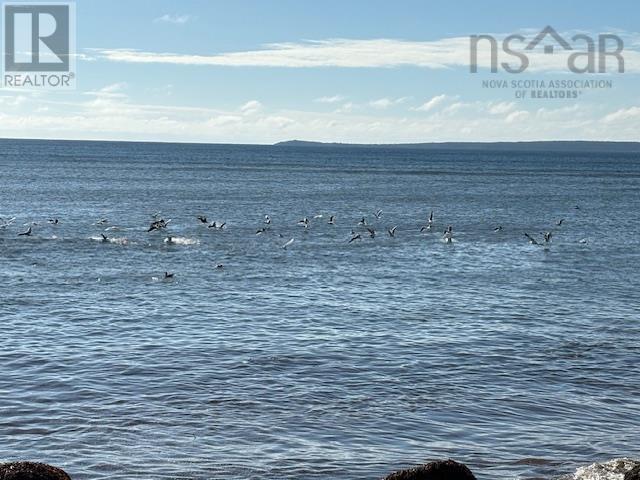 133 The Point Road, Blue Rocks, Nova Scotia  B0J 2C0 - Photo 25 - 202424160