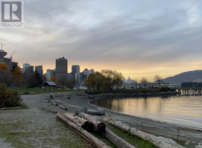 501 168 Powell Street, Vancouver, British Columbia  V6A 0B2 - Photo 23 - R2933656