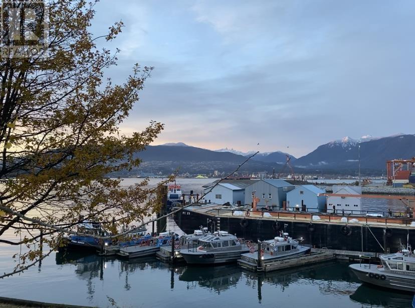 501 168 Powell Street, Vancouver, British Columbia  V6A 0B2 - Photo 24 - R2933656