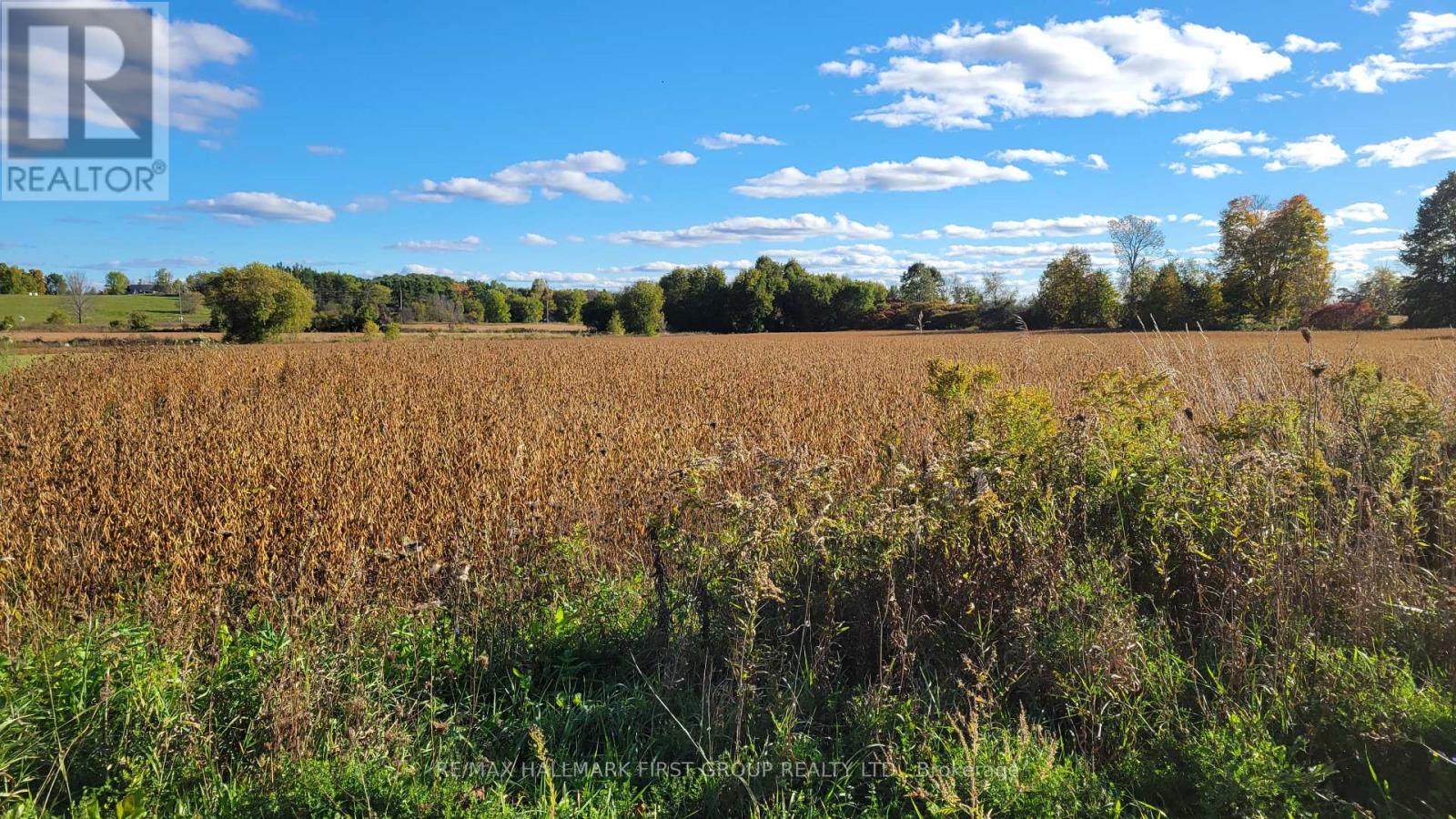 Part 3 Highway 7, Madoc, Ontario  K0K 2K0 - Photo 1 - X9387304