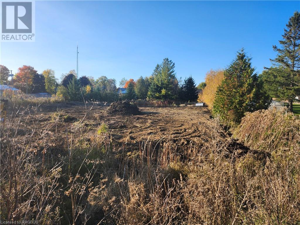 Lt 17 Gold Street, Dundalk, Ontario  N0C 1B0 - Photo 1 - 40660070