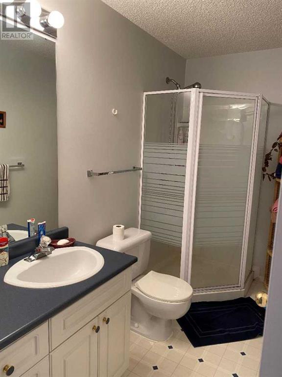 411 1st Street  Ne, Manning, Alberta  T0H 2M0 - Photo 20 - A2171316