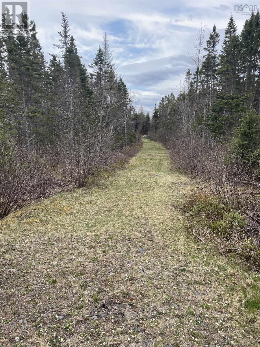 Lot 5f Highway 329, East River, Nova Scotia  B0J 1T0 - Photo 21 - 202216340