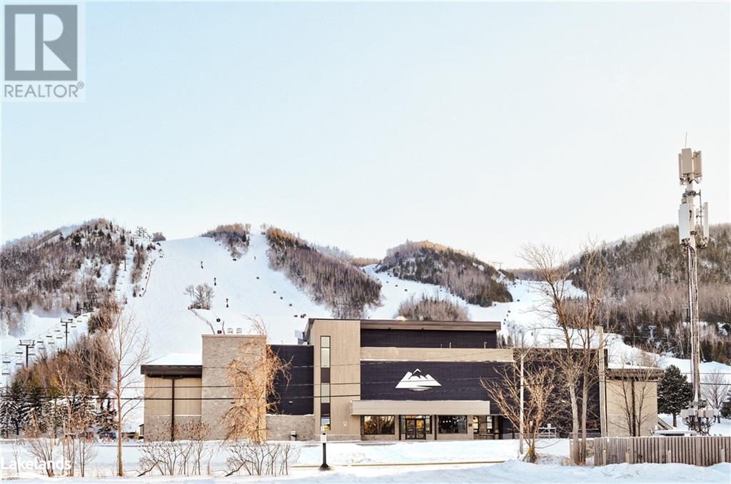 164 Wensley Drive, Clarksburg, Ontario N0H 1J0 - Photo 46 - 40659039