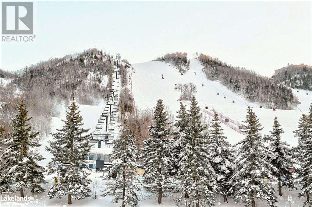 164 Wensley Drive, Clarksburg, Ontario N0H 1J0 - Photo 47 - 40659039