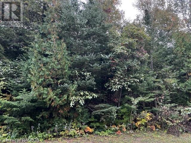 3 Shore Road, Southampton, Ontario  N0H 2L0 - Photo 3 - 40658422