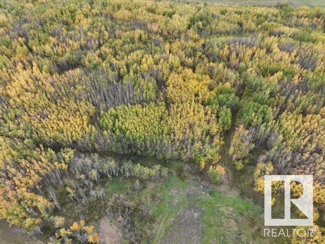 650057 Hwy 827, Rural Athabasca County, Alberta  T9S 1C4 - Photo 18 - E4409524