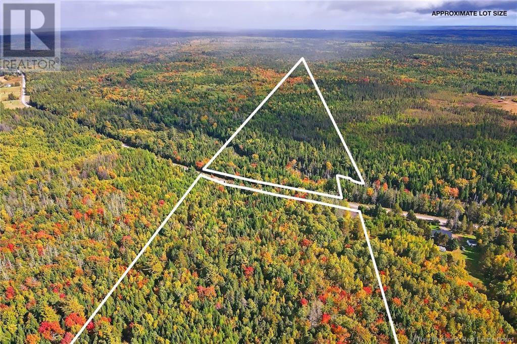 Lot 123 Highway, Redbank, New Brunswick  O0O 0O0 - Photo 2 - NB107550