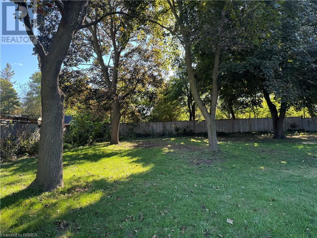 113 Grand Street, Brantford, Ontario  N3R 4B5 - Photo 3 - 40659087