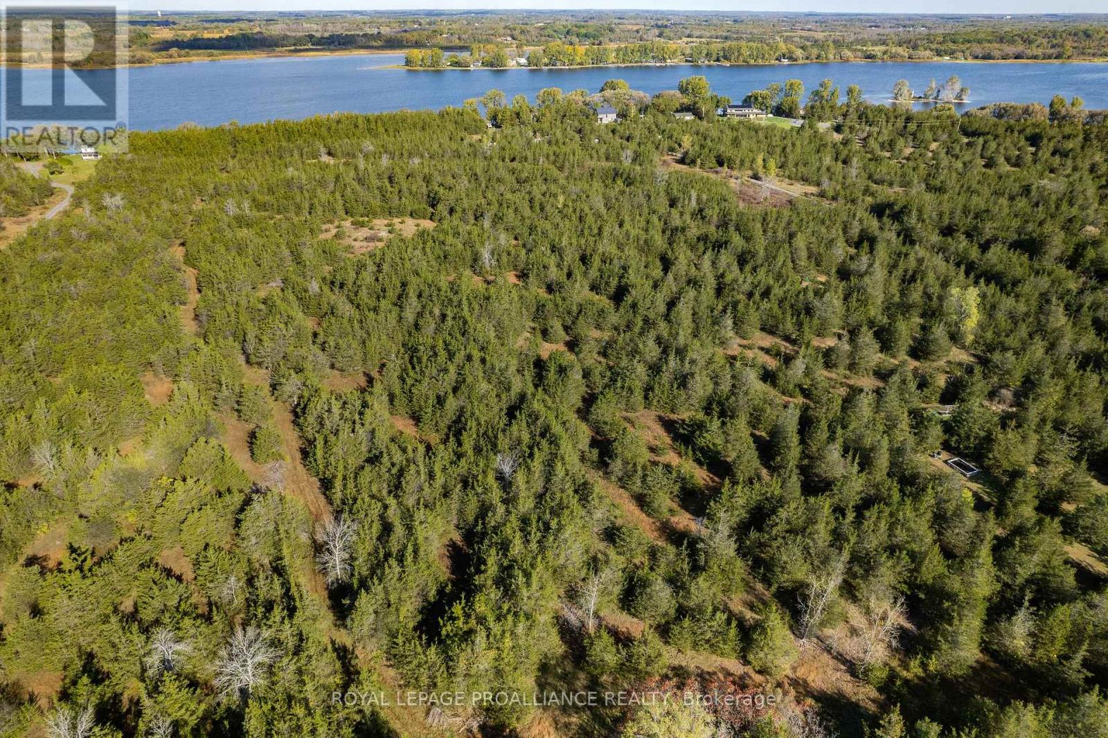 2523 County Road 15, Prince Edward County, Ontario  K0K 2T0 - Photo 5 - X9388199
