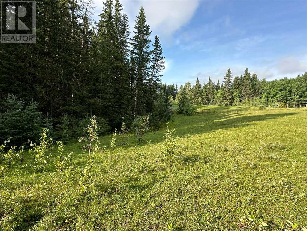 78 Acres Range Road 52, Rural Mountain View County, Alberta  t0m 2e0 - Photo 21 - A2164921