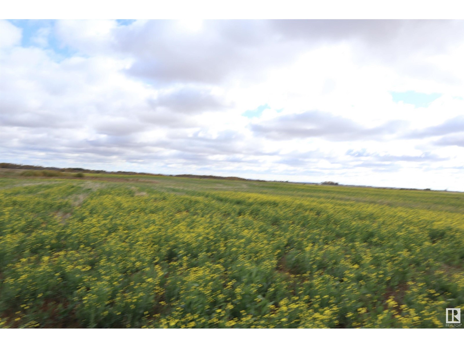 North Pt Of Nw-28-53-15-W4, Rural Minburn County, Alberta  T9C 1R2 - Photo 3 - E4409635