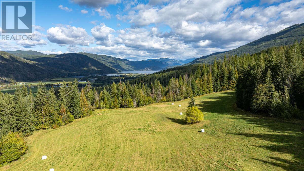 7703 97a Highway, Mara, British Columbia  V0E 2K0 - Photo 51 - 10325876