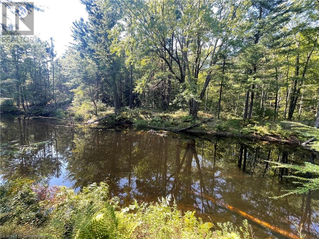 3433 Flinton Road, Flinton, Ontario  K0H 1P0 - Photo 24 - 40660574