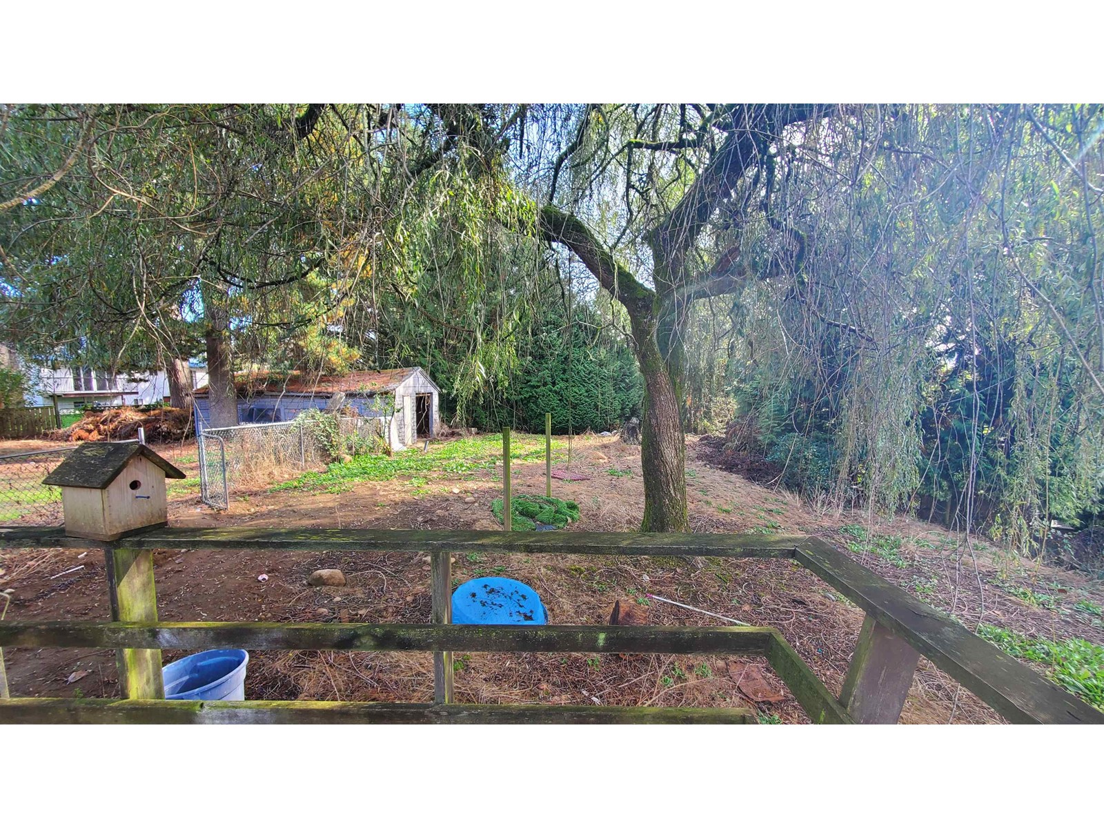 8042 Cedar Street, Mission, British Columbia  V2V 3N1 - Photo 10 - R2932932