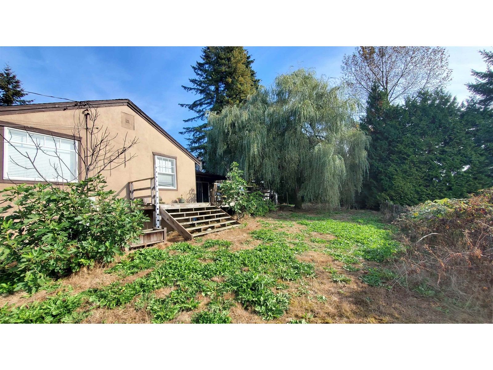 8042 Cedar Street, Mission, British Columbia  V2V 3N1 - Photo 7 - R2932932