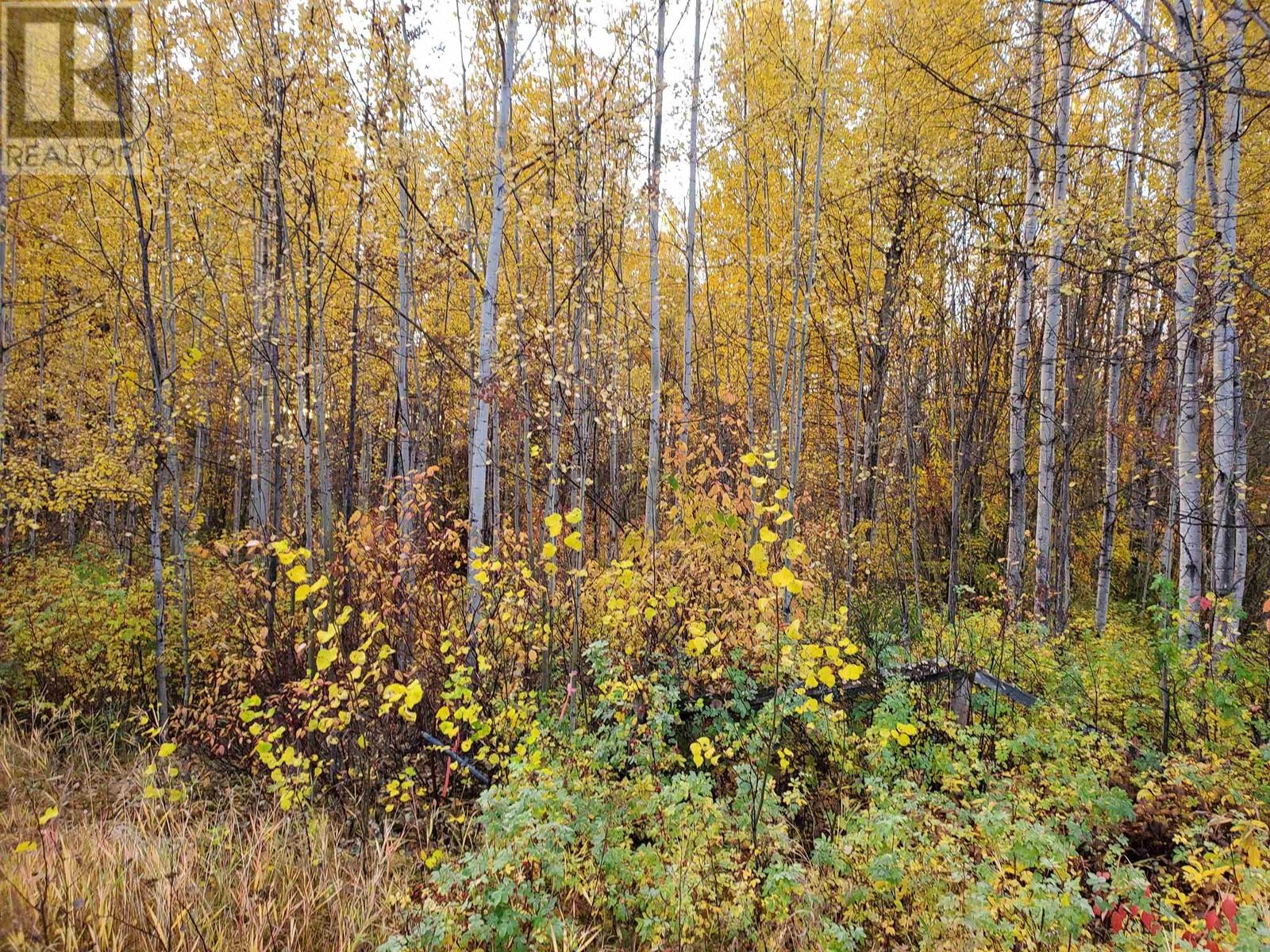 Lot B-Dl 8647 Pinnalces Road, Quesnel, British Columbia V2J 7H6 - Photo 2 - R2933197