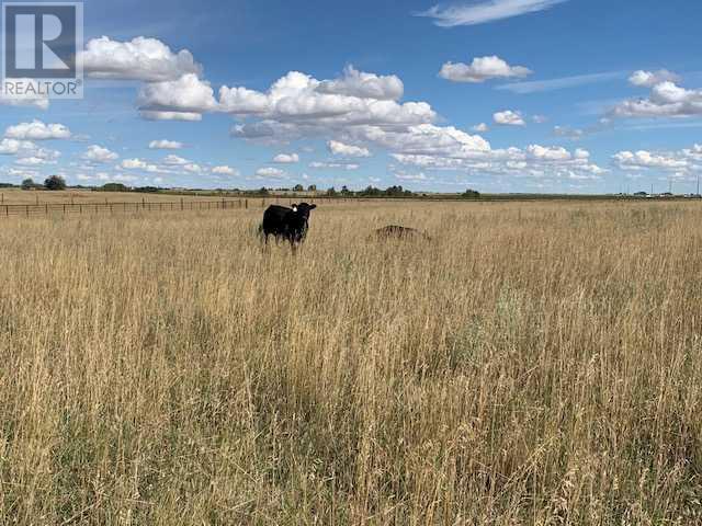 274093 Rge Rd 261, Rural Rocky View County, Alberta  T0M 0G0 - Photo 35 - A2164695