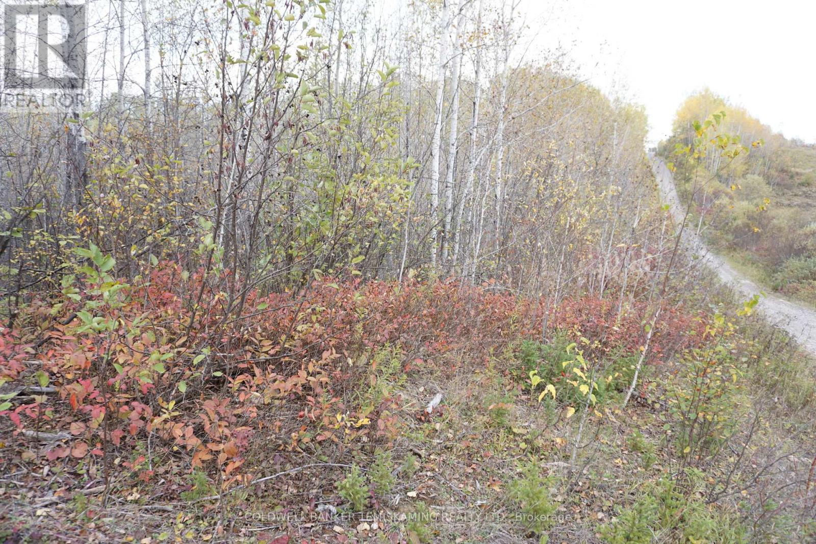 Lot 1a Campbells Road, Timiskaming Remote Area, Ontario  P0J 1B0 - Photo 1 - T9390168