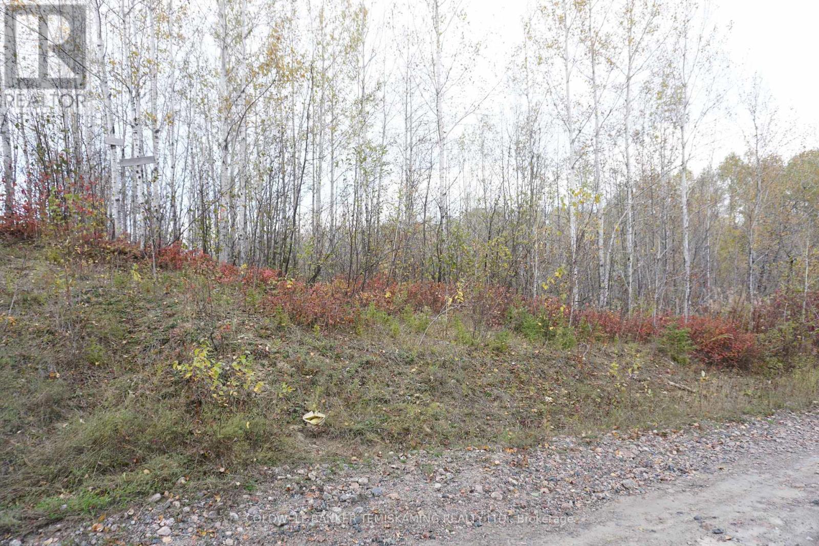Lot 1a Campbells Road, Timiskaming Remote Area, Ontario  P0J 1B0 - Photo 11 - T9390168