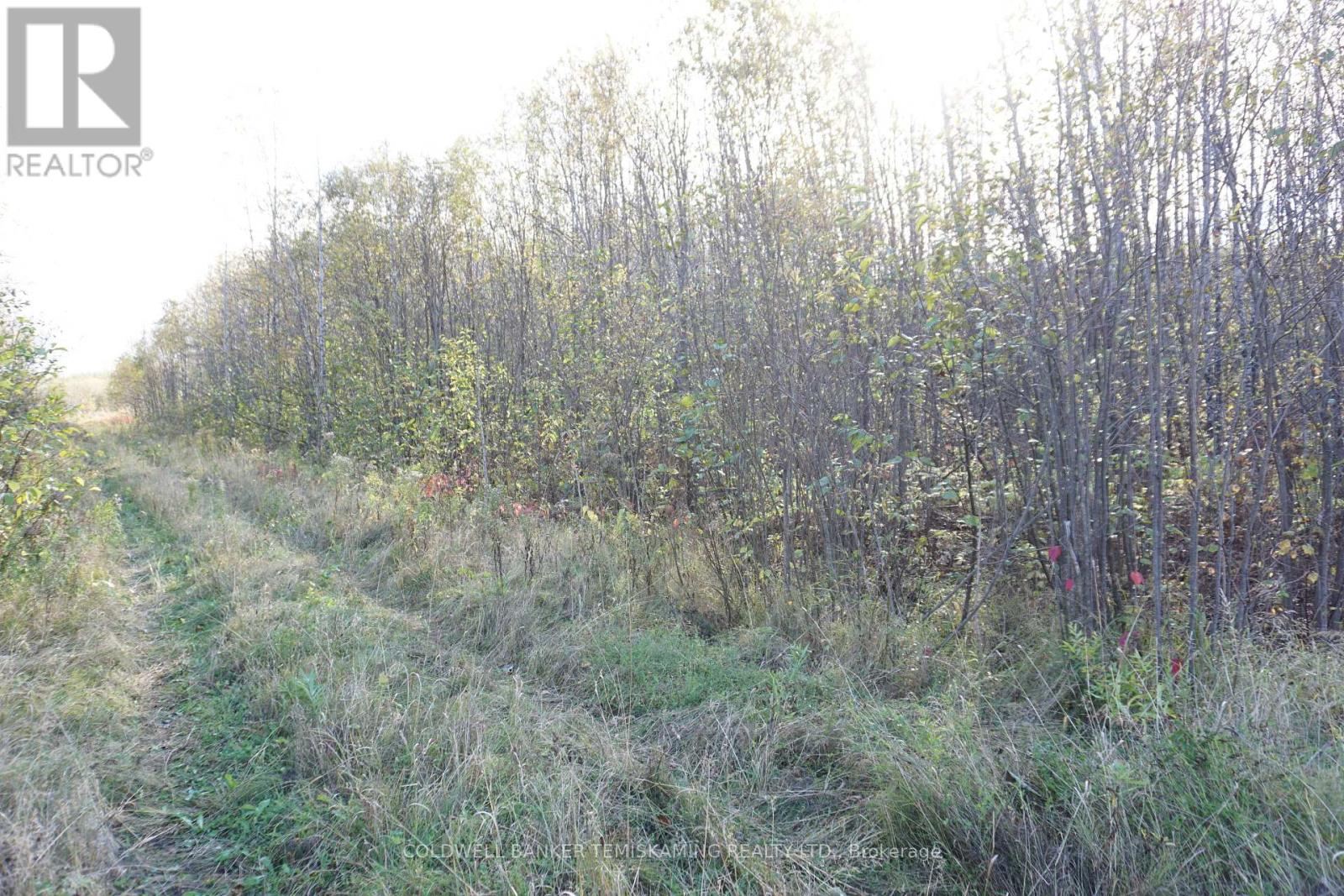 Lot 1a Campbells Road, Timiskaming Remote Area, Ontario  P0J 1B0 - Photo 2 - T9390168