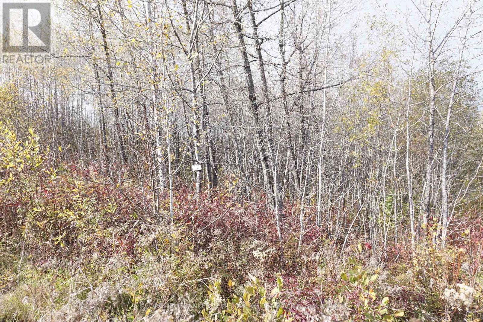 Lot 1a Campbells Road, Timiskaming Remote Area, Ontario  P0J 1B0 - Photo 3 - T9390168
