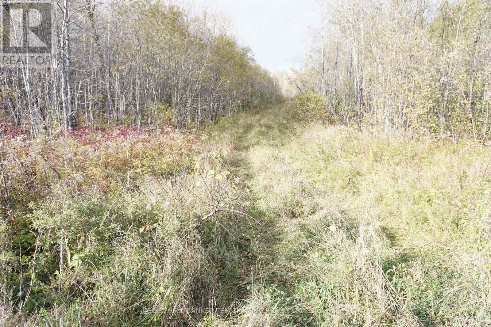 Lot 1a Campbells Road, Timiskaming Remote Area, Ontario  P0J 1B0 - Photo 4 - T9390168