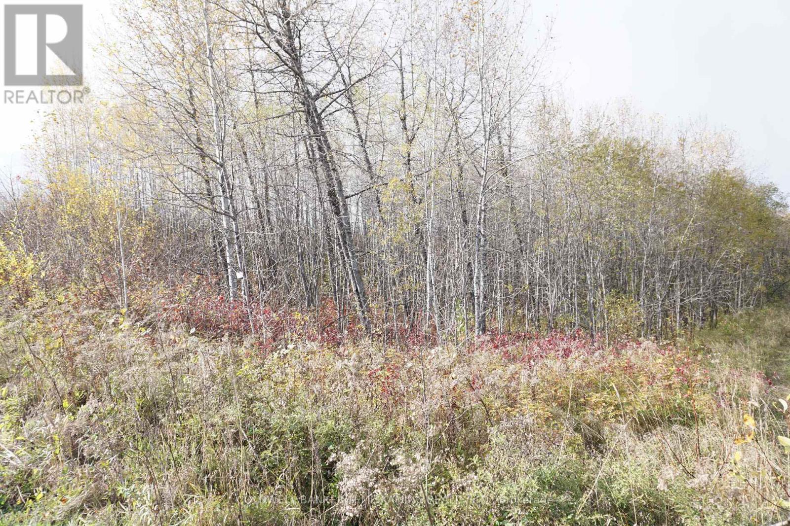 Lot 1a Campbells Road, Timiskaming Remote Area, Ontario  P0J 1B0 - Photo 5 - T9390168