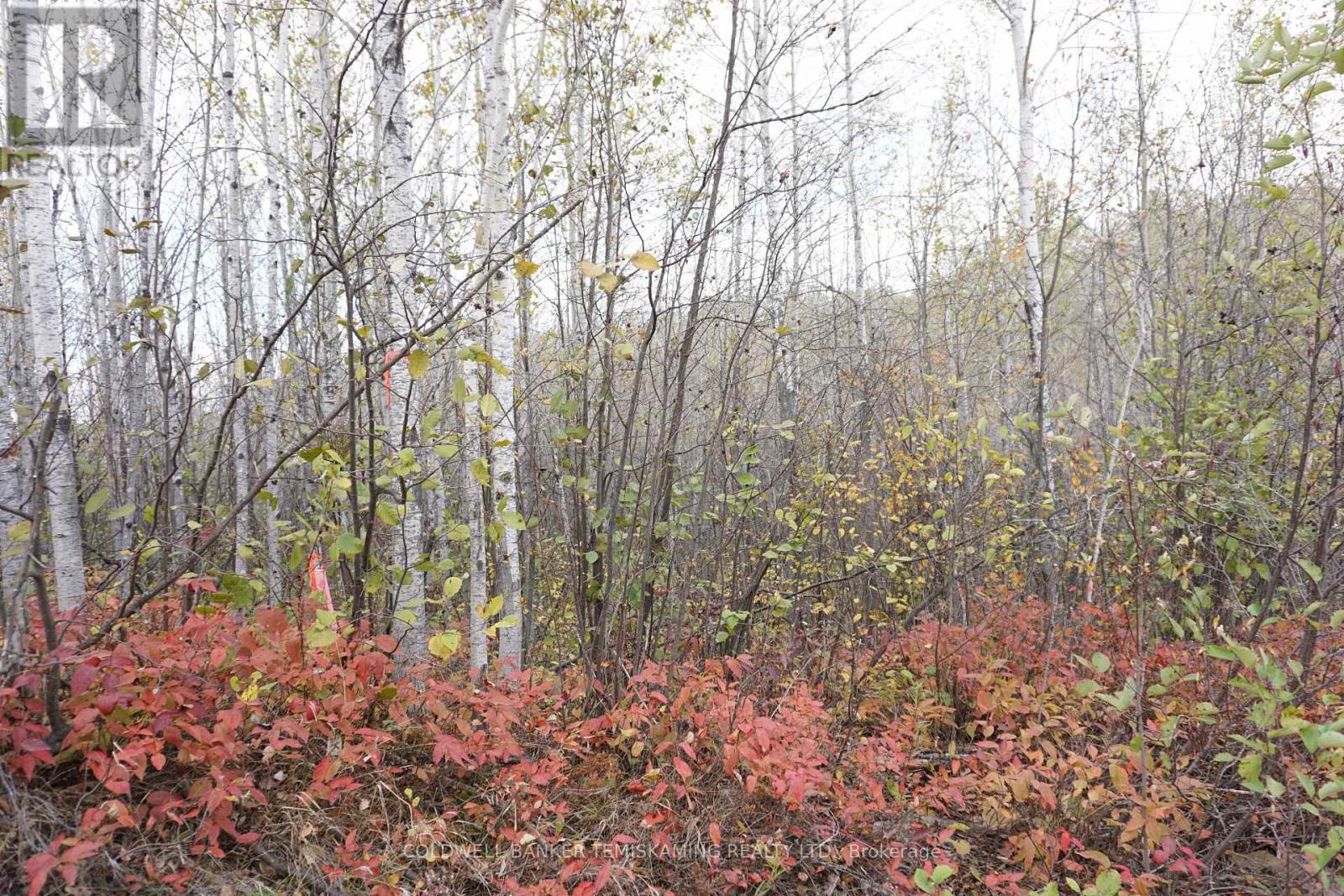 Lot 1a Campbells Road, Timiskaming Remote Area, Ontario  P0J 1B0 - Photo 8 - T9390168