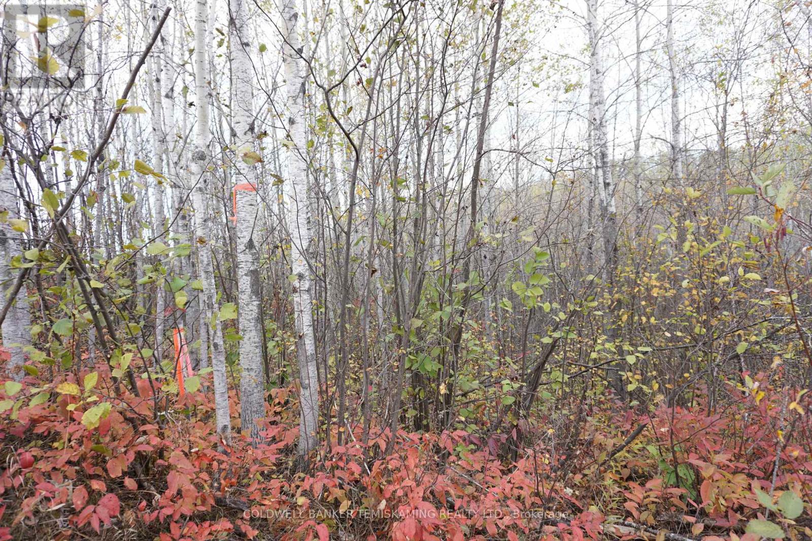 Lot 1a Campbells Road, Timiskaming Remote Area, Ontario  P0J 1B0 - Photo 9 - T9390168