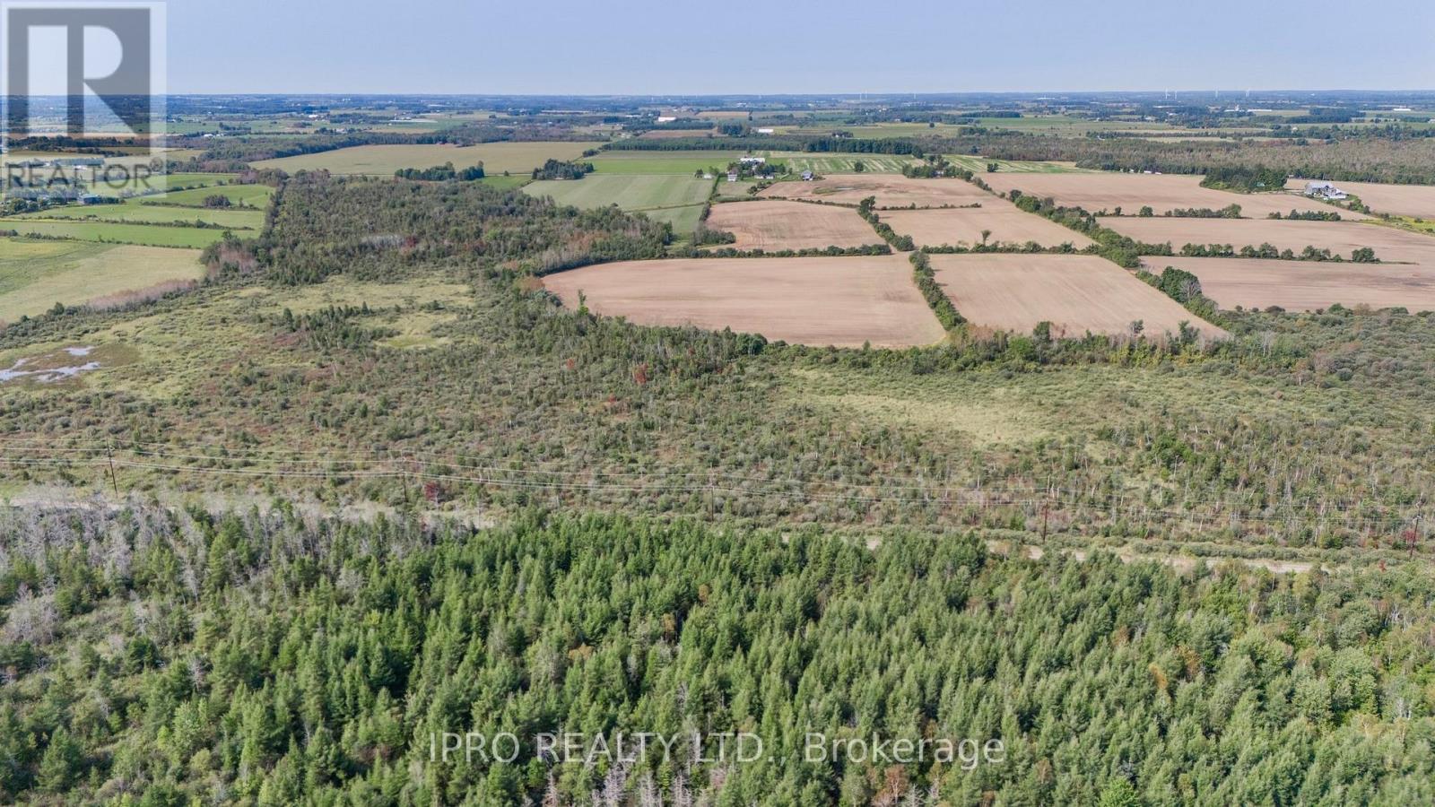 433457 4th Line, Amaranth, Ontario  L9W 0P2 - Photo 29 - X9359025