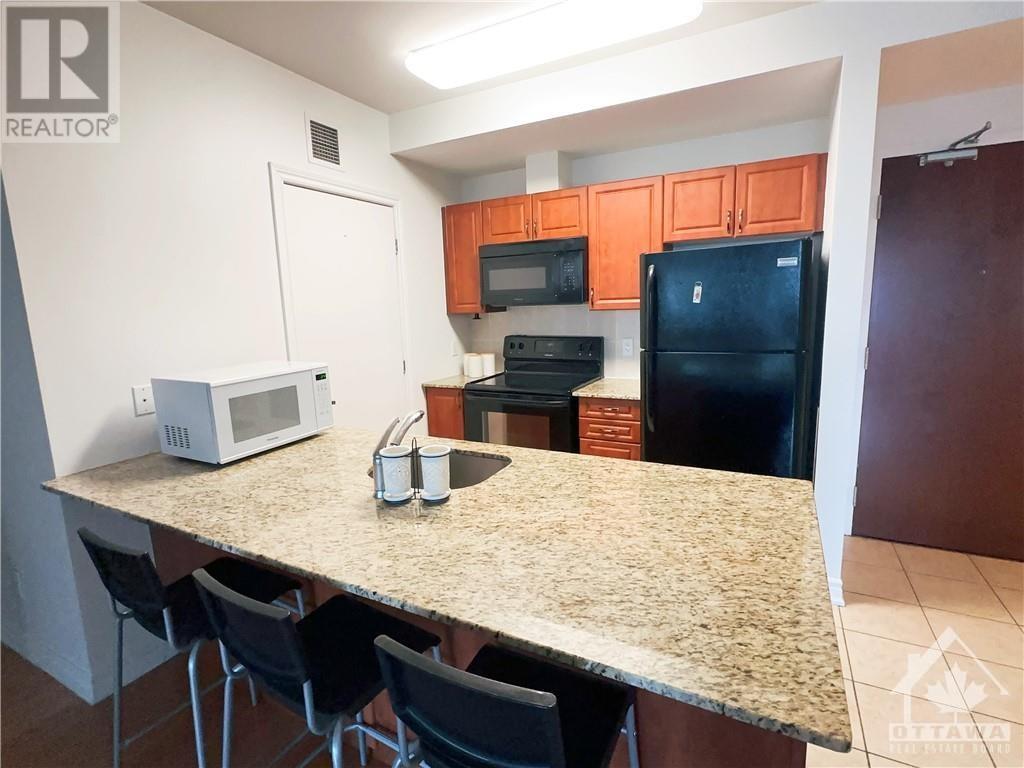 234 Rideau Street Unit#1506, Ottawa, Ontario  K1N 0A9 - Photo 3 - 1415938