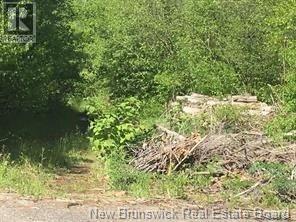 234 Flanagan Road, Fredericton, New Brunswick