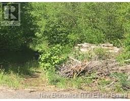 234 Flanagan Road, Fredericton, New Brunswick