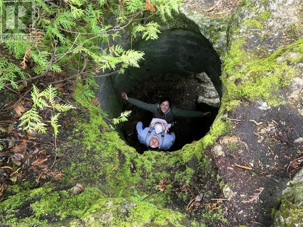 177 Isthmus Bay Road, Lion's Head, Ontario  N0H 1W0 - Photo 41 - 40658856