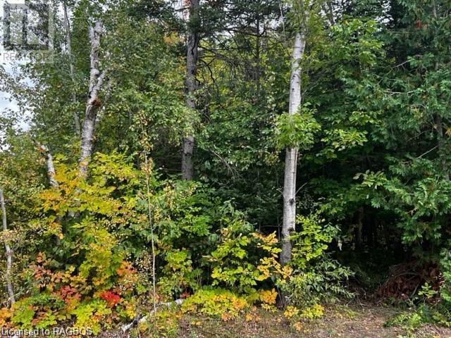 7 SHORE Road, southampton, Ontario