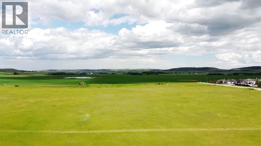 4 Avenue  Se, Diamond Valley, Alberta  T0L 1H0 - Photo 6 - A2172257