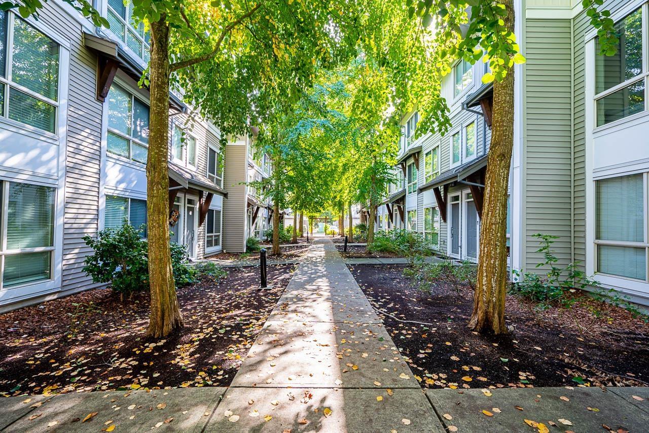 48 6671 121 Street, Surrey, British Columbia  V3W 1T9 - Photo 30 - R2934610