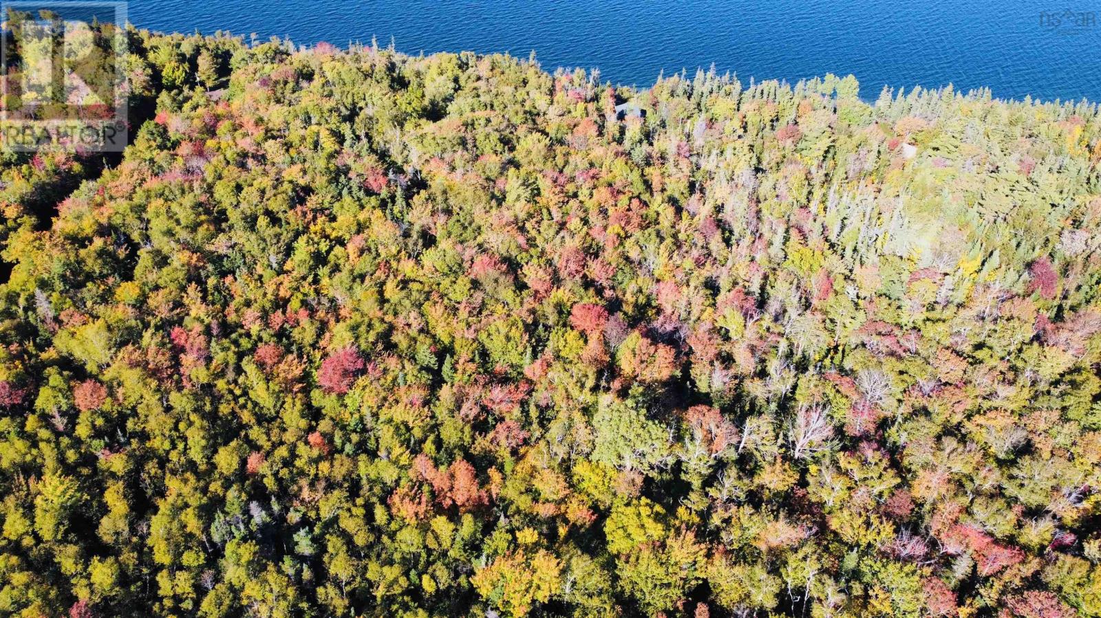 Lot 3 West Bay Highway, Roberta, Nova Scotia  B0E 3K0 - Photo 6 - 202424346