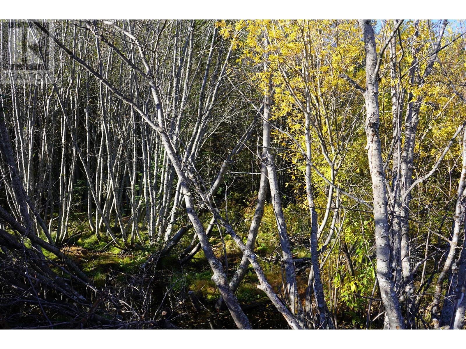 6881 Jesmond Rd, Clinton, British Columbia  V0K 1K0 - Photo 13 - 181335