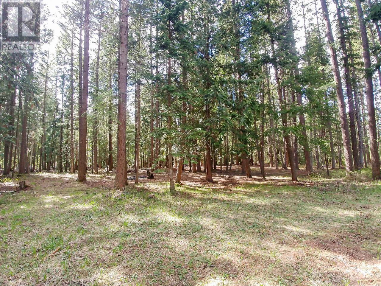 1129 Mountainview Road, Clearwater, British Columbia  V0E 1N1 - Photo 35 - 177965