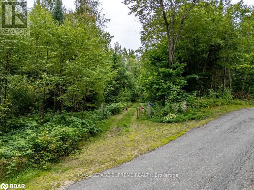 153 Mainhood Road, Huntsville, Ontario  P0B 1M0 - Photo 1 - X9391508