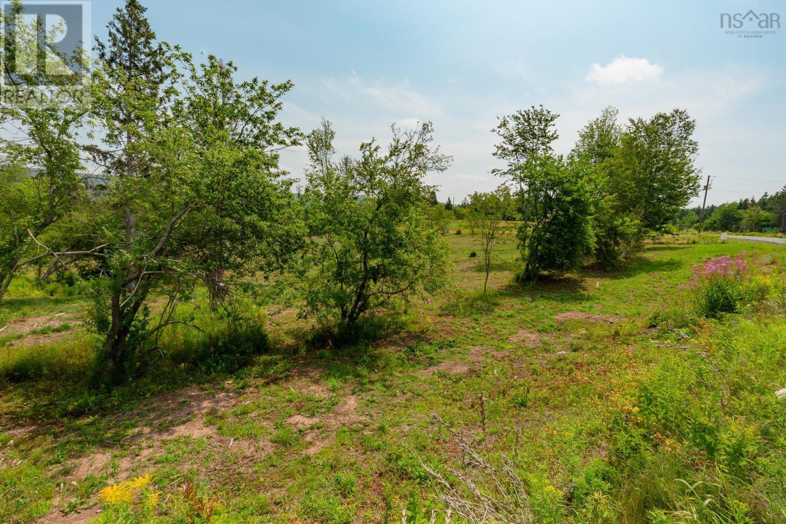 Lot 2 Highway 19, Hawleys Hill, Mabou, Nova Scotia  B0E 1X0 - Photo 11 - 202424379