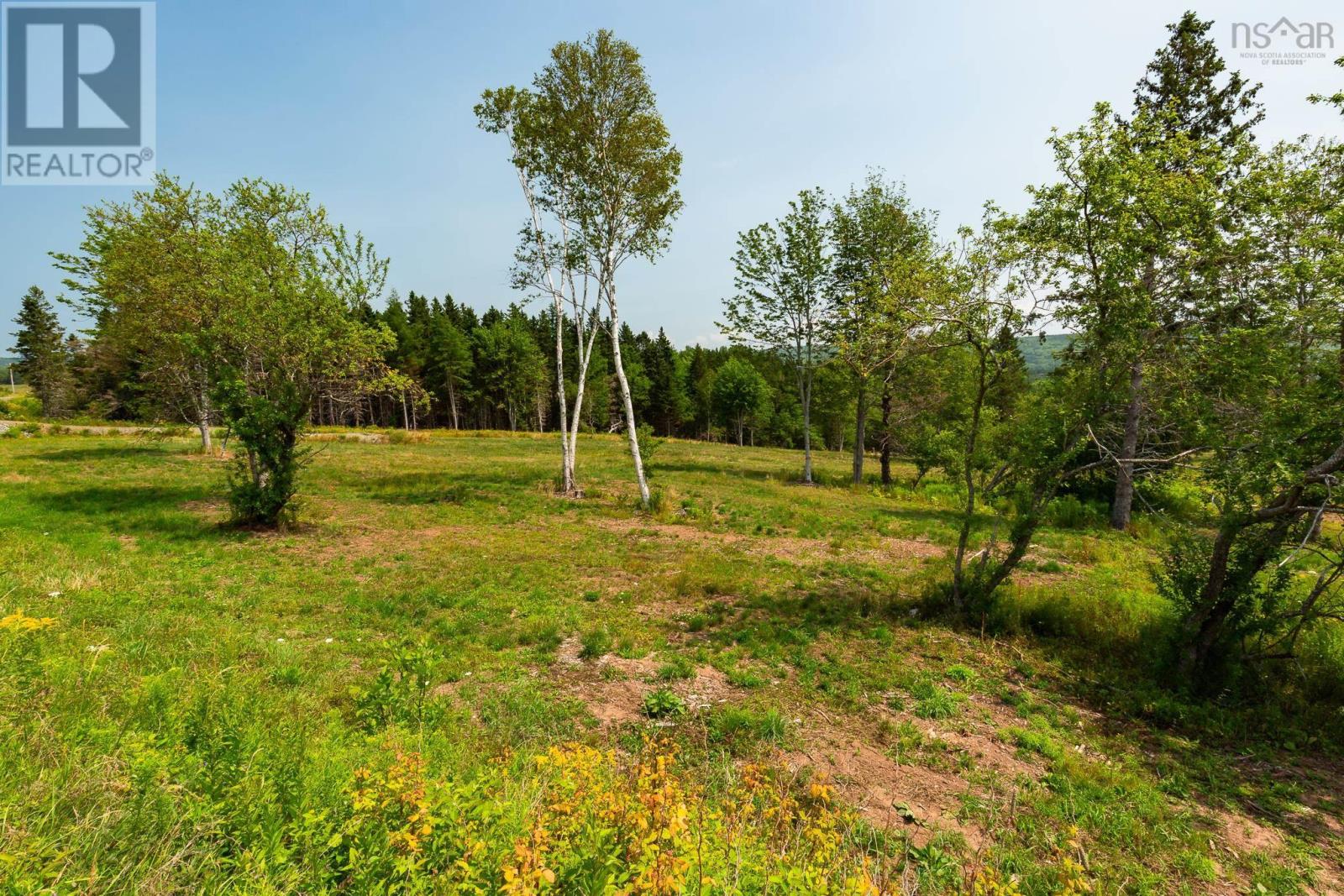 Lot 3 Highway 19, Hawleys Hill, Mabou, Nova Scotia  B0E 1X0 - Photo 9 - 202424380