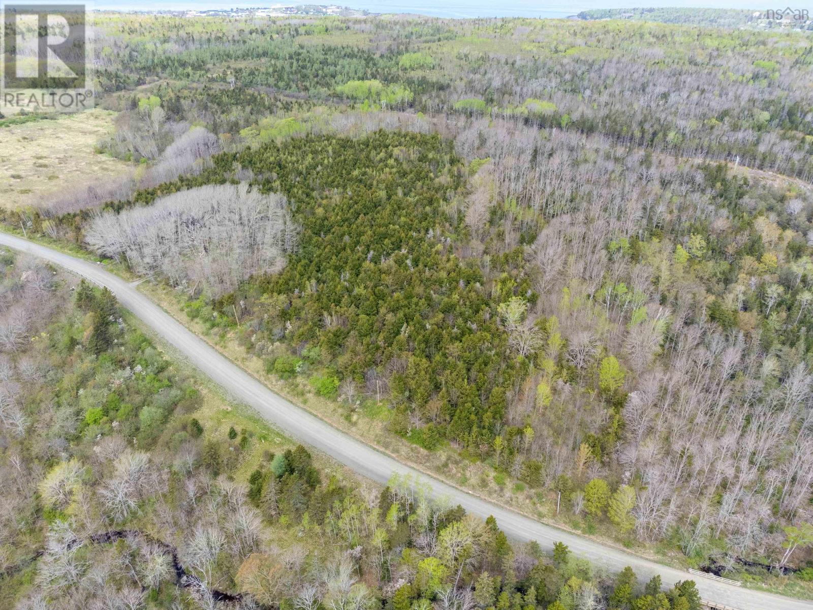 Lot Waldeck Line Road, Waldeck East, Nova Scotia  B0S 1E0 - Photo 8 - 202411278