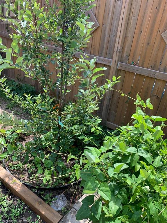 79 Oakes Crescent, Guelph, Ontario  N1E 0J5 - Photo 26 - 40658742