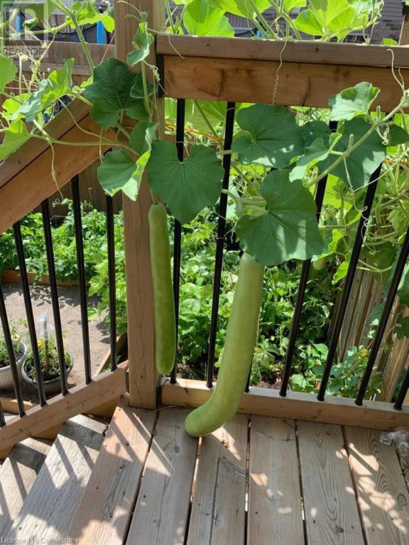 79 Oakes Crescent, Guelph, Ontario  N1E 0J5 - Photo 23 - 40658742